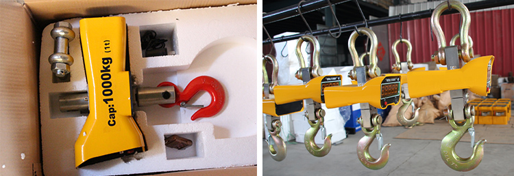 Electronic Crane Scale Electronic Crane Scale